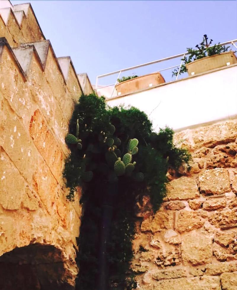 Corte Dei Nonni Presicce Exterior foto